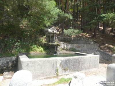 Monte de Valsaín, Río Eresma -Pesquerías Reales;asociacion de senderismo material de trekking las me